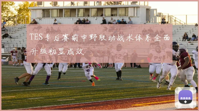 TES季后赛前中野联动战术体系全面升级初显成效