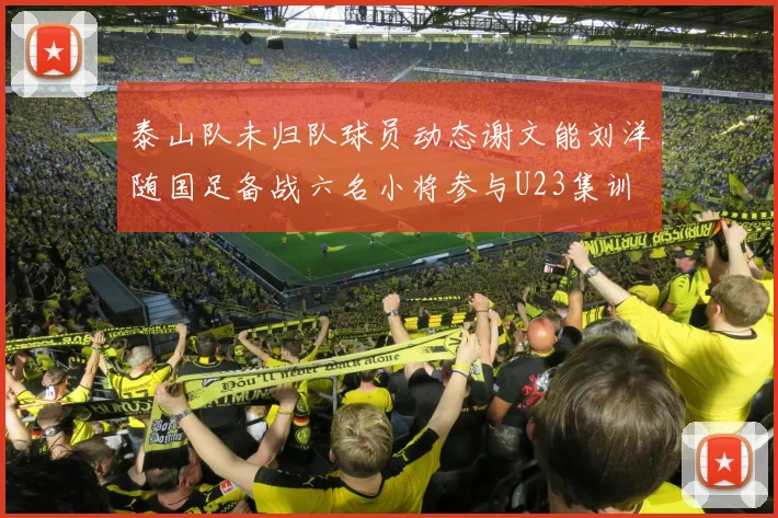 泰山队未归队球员动态谢文能刘洋随国足备战六名小将参与U23集训